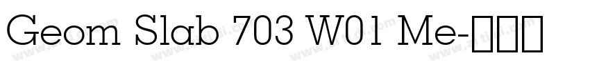 Geom Slab 703 W01 Me字体转换